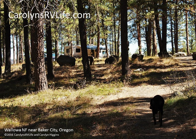 Wallowa NF outside Baker City, Oregon