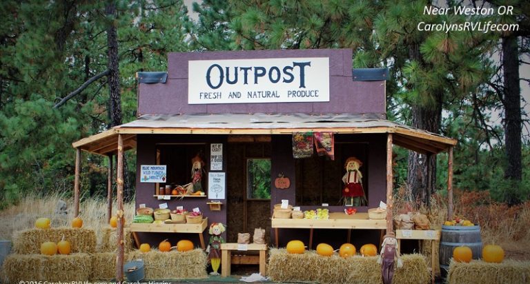 umadillastandnearweston Carolyn's RV Life