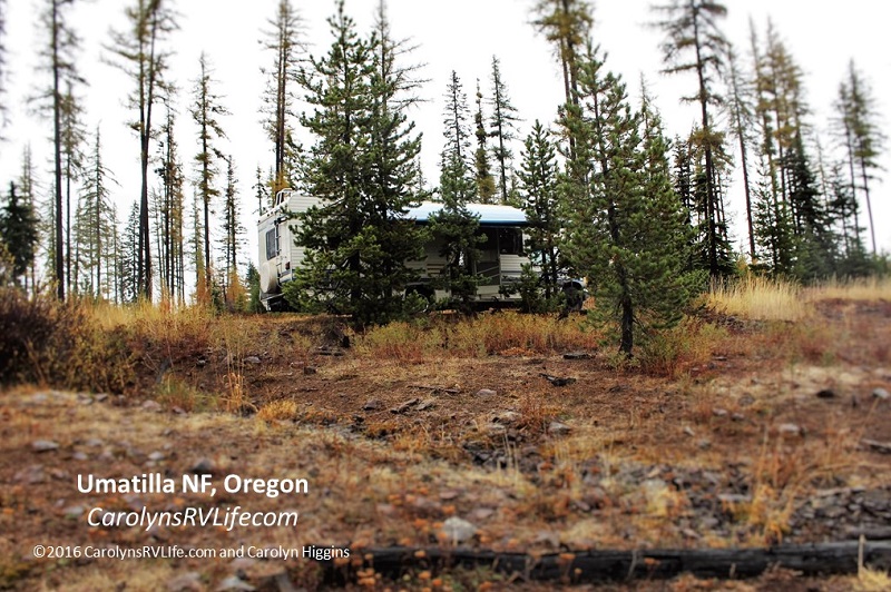 Umatilla national forest campsite oregon