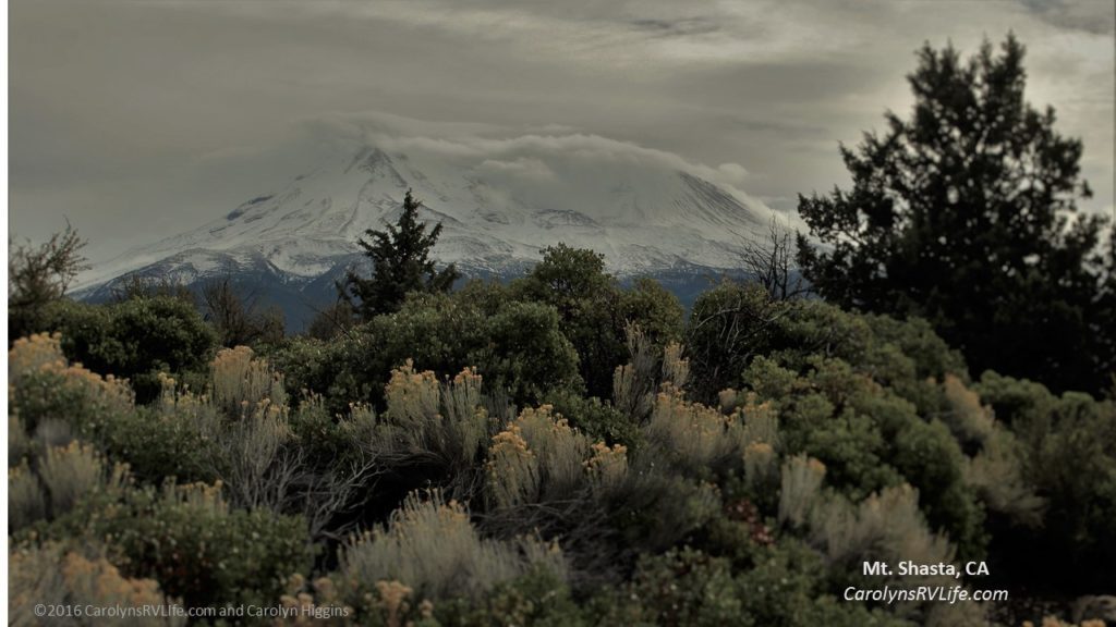 Mt Shasta vies