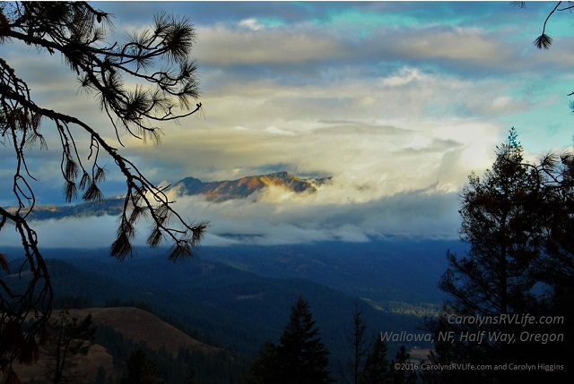 Wallowa Natiional forest half way oregon