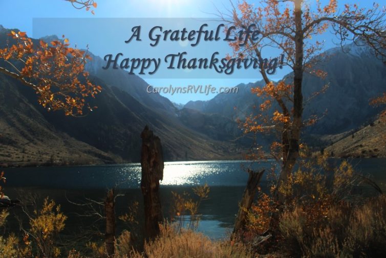 RV Life Thanksgiving scene