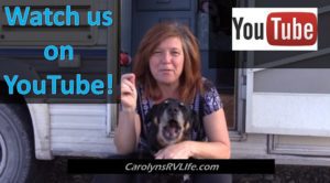 20000 youtube subscribers in 6 weeks