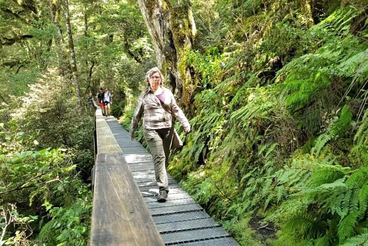 RV Living Adventures Solo Female Travels