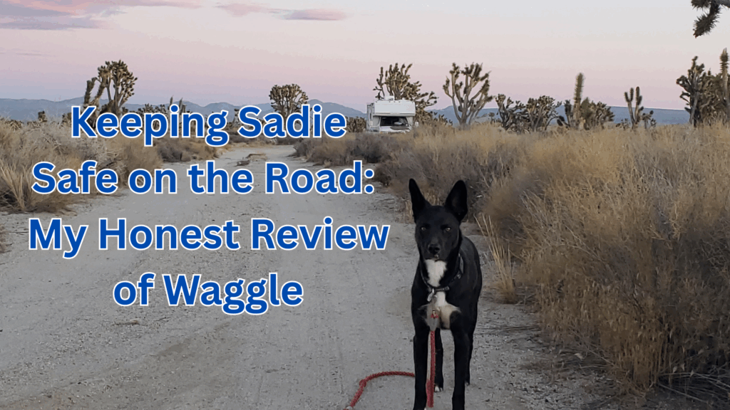 Pet safety with Waggle