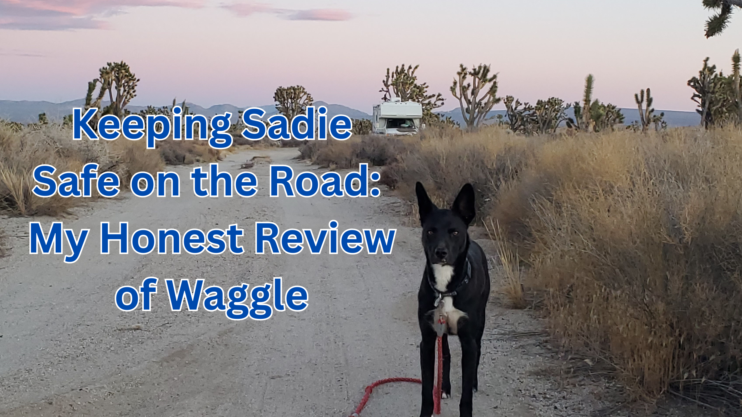 Pet safety with Waggle