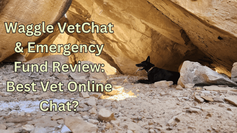 Waggle VetChat & Emergency Fund Review: Best Vet Online Chat?*